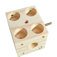 Yummy Foraging Block