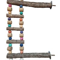 Double Perch Ladder